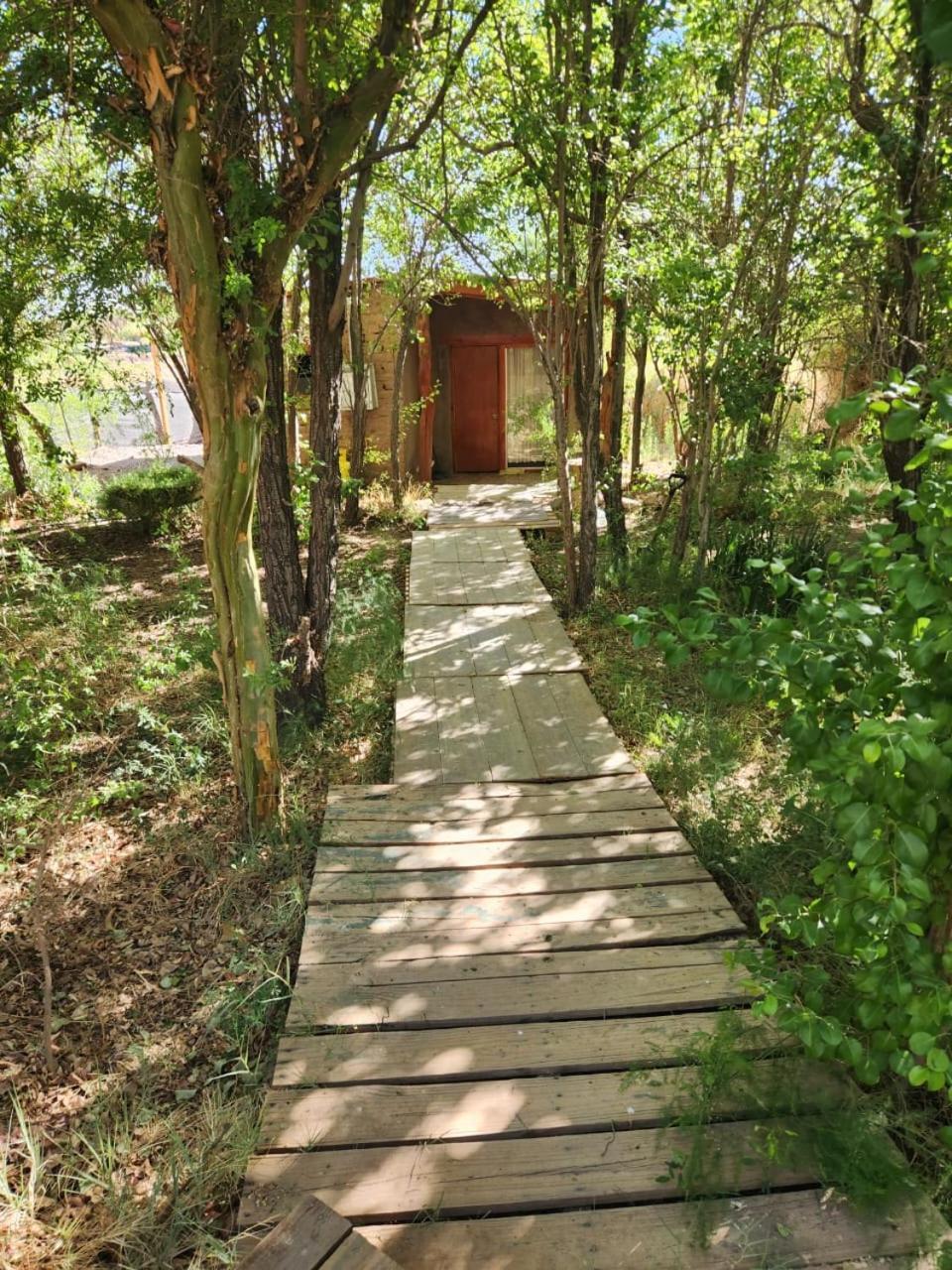 Hospedaje Rural Casa De Felix Сан-Педро-де-Атакама Экстерьер фото